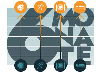 diagram of product levidex